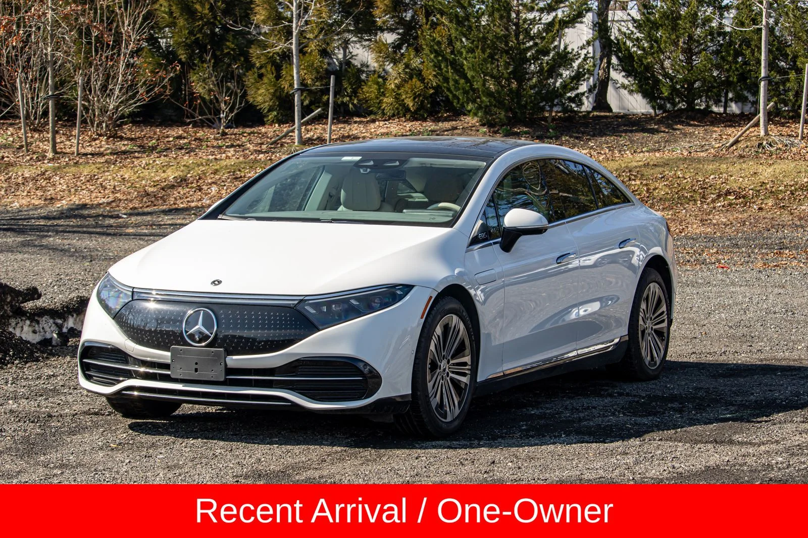 2022 Mercedes-Benz EQS EQS 450+'s photo