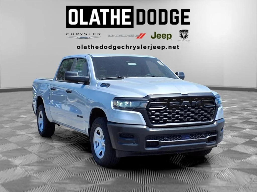 New 2026 Silver Zynith Exterior Paint RAM Tradesman image 29