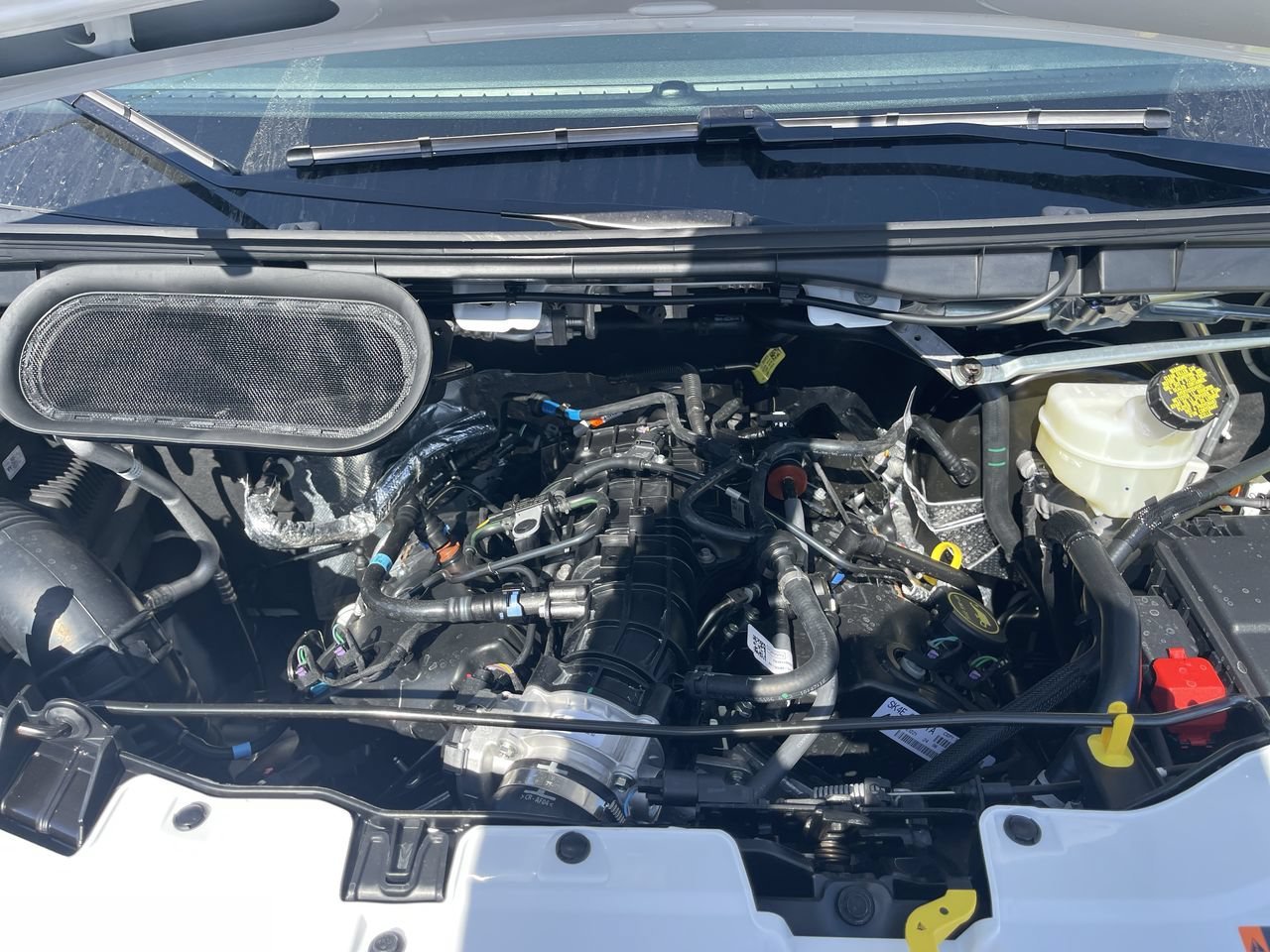 New 2026 Oxford White Ford XLT image 28
