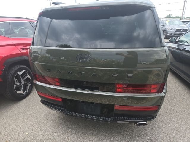 Used 2025 Green Hyundai Calligraphy image 3