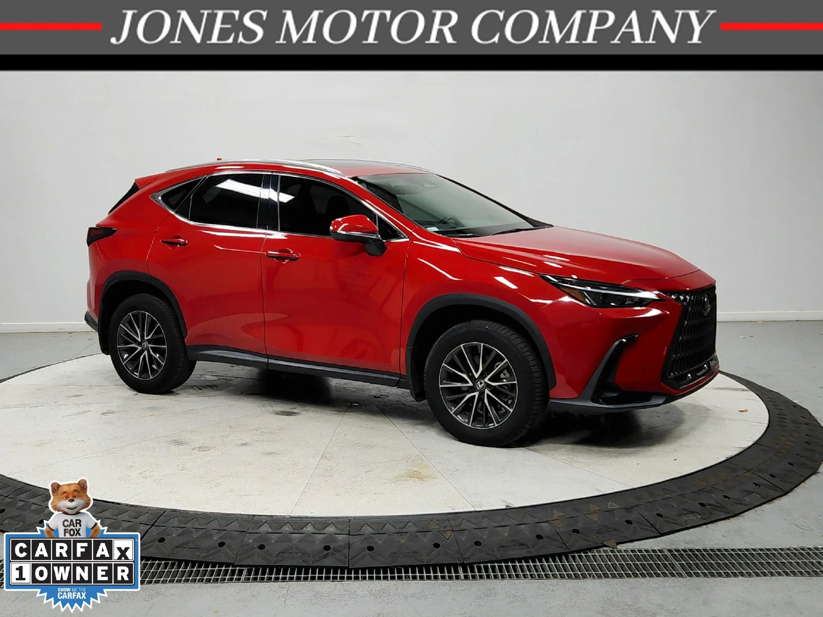 2024 Lexus NX