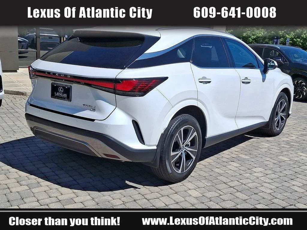 2023 Lexus RX 350 - Photo 6