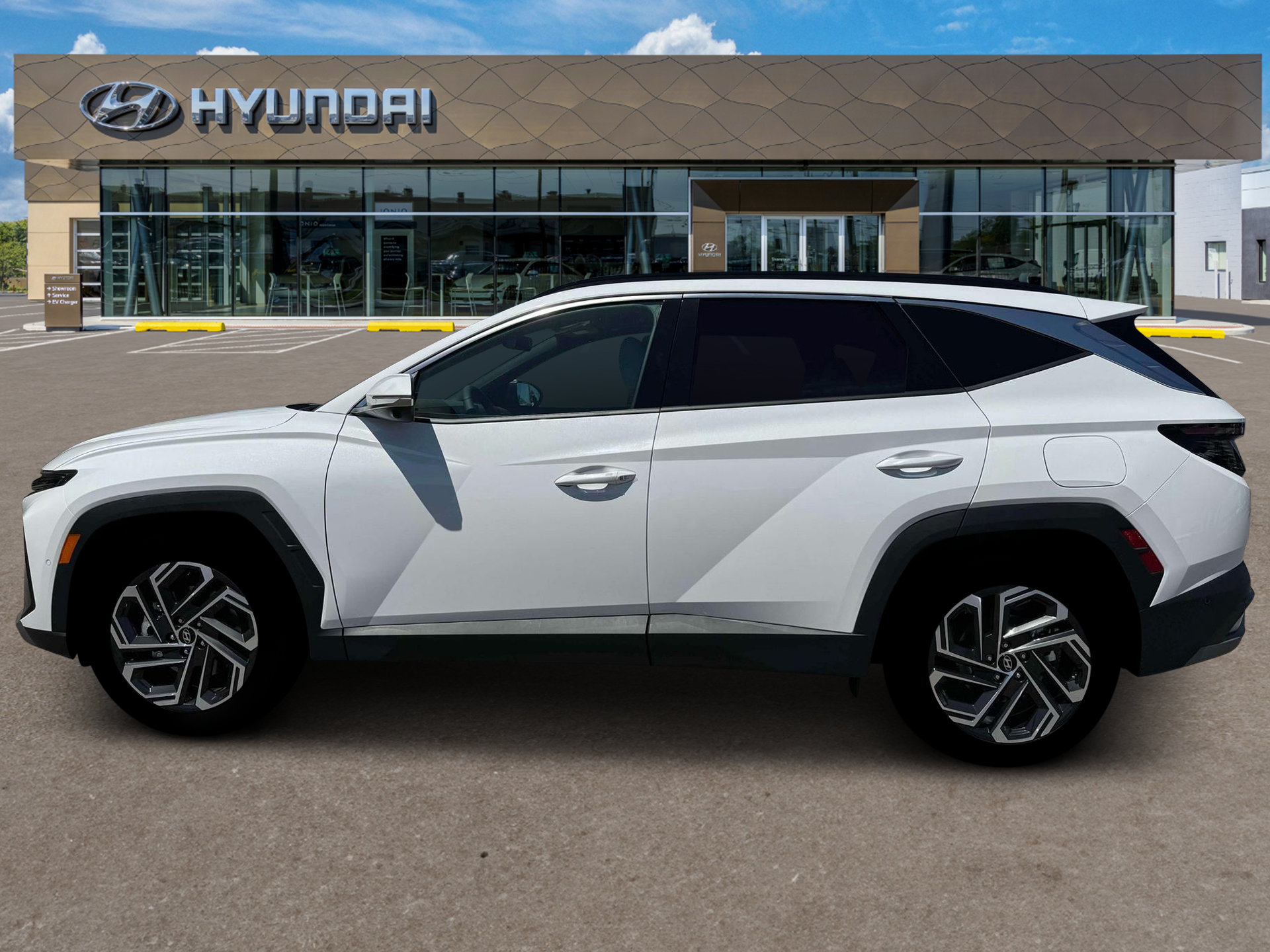 New 2026 Serenity White Pearl Hyundai Limited AWD image 3