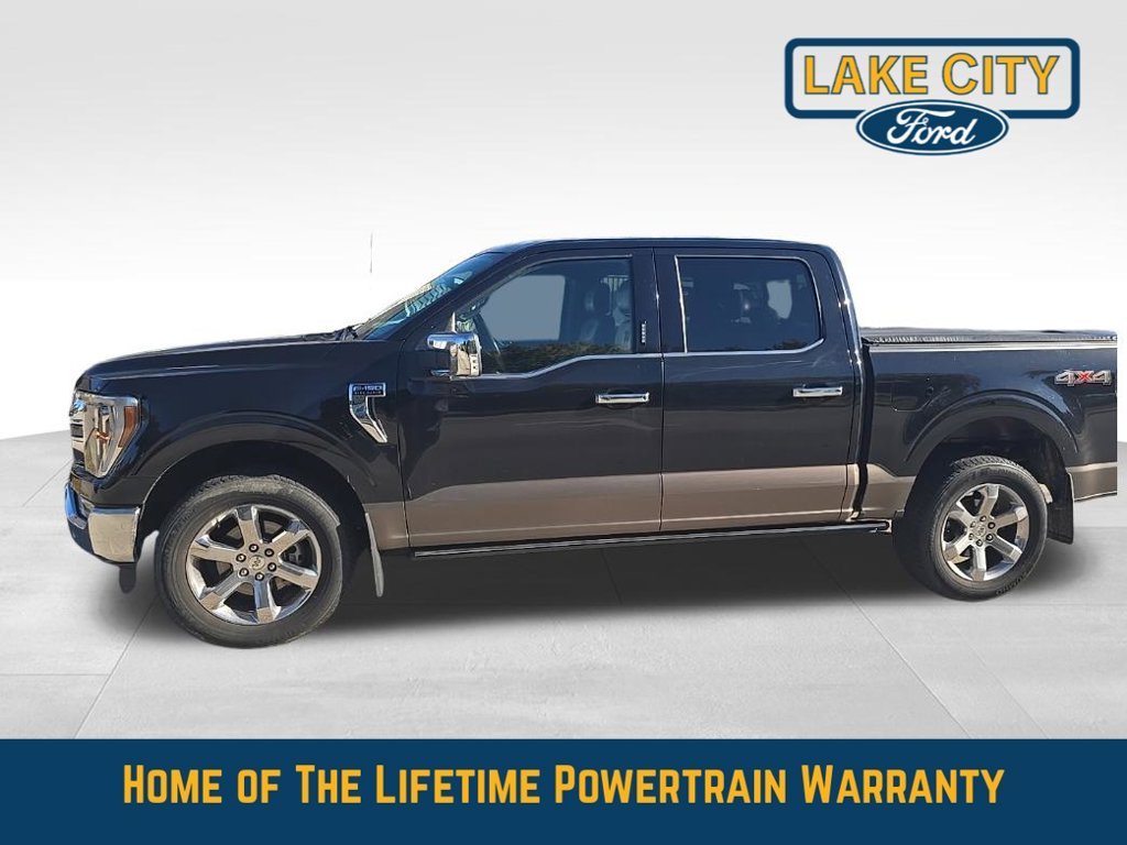 Used 2022 Ford F-150 King Ranch with VIN 1FTFW1E85NFC43353 for sale in Lake City, Minnesota
