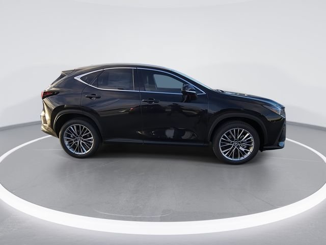 2026 Lexus NX 350 Luxury - Photo 9