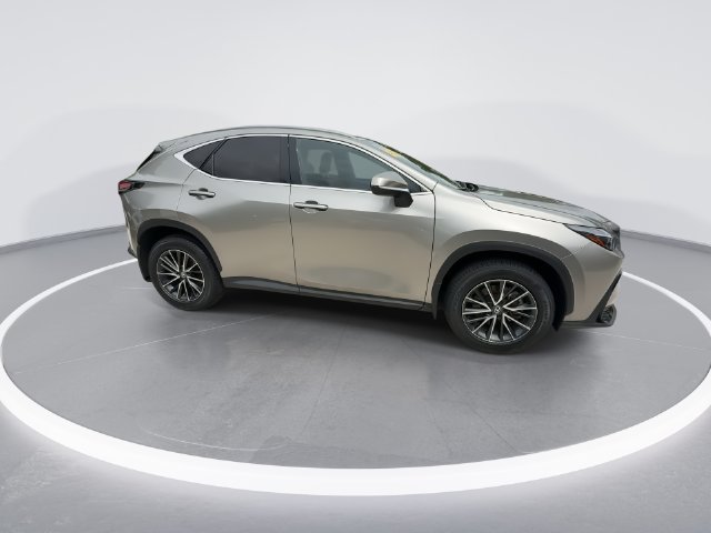 2025 Lexus NX 250 - Photo 9