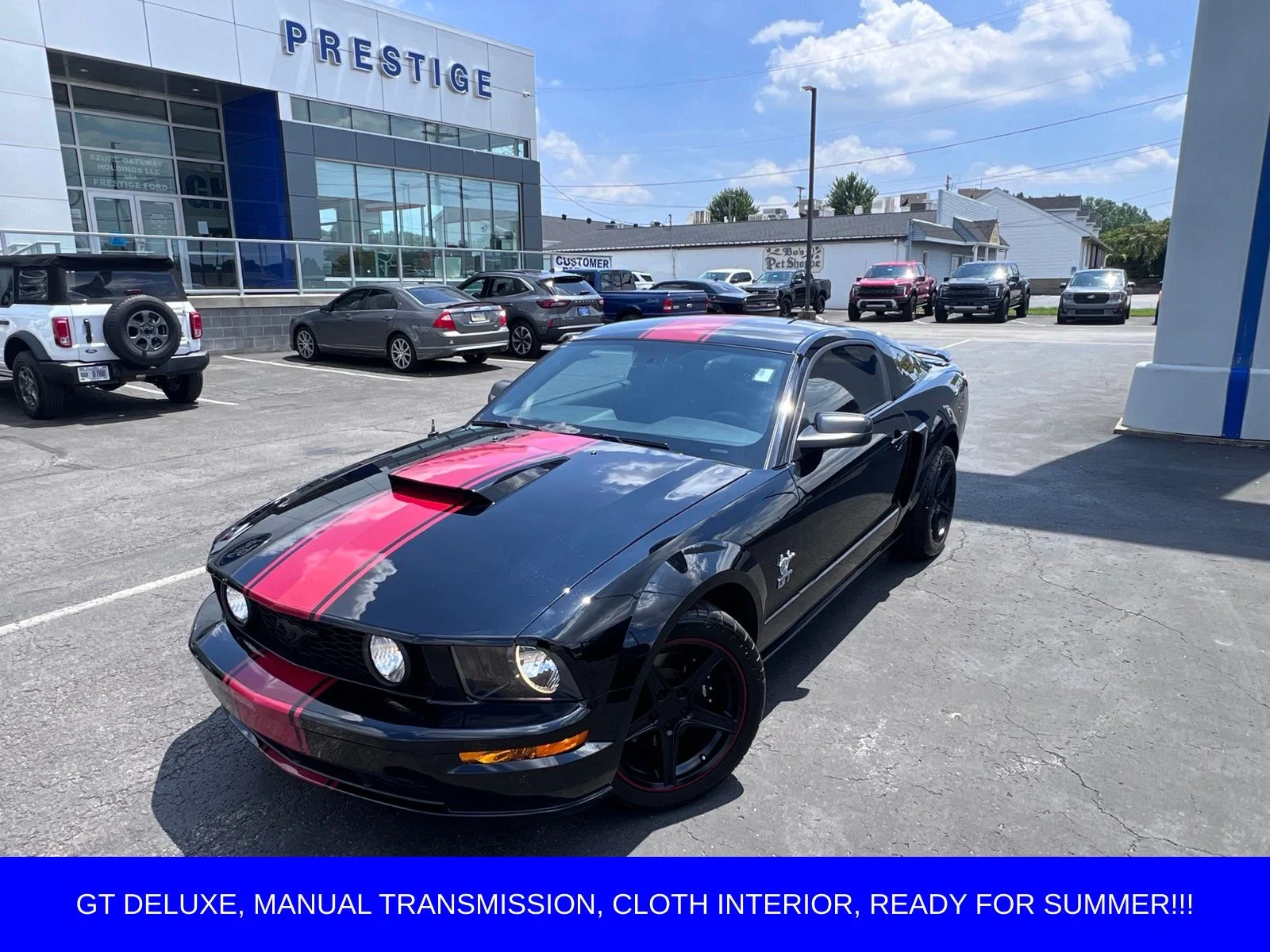 2009 Ford Mustang GT Deluxe's photo