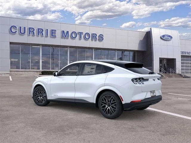 New 2026 Star White Metallic Tri-coat Ford Premium image 4