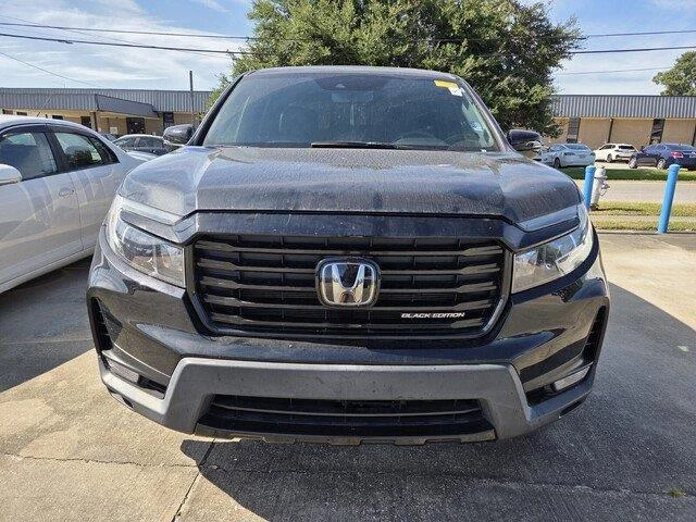 Used 2023 Crystal Black Pearl Honda Black Edition image 5