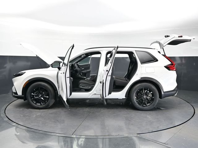 New 2026 Platinum White Pearl Honda Sport image 33