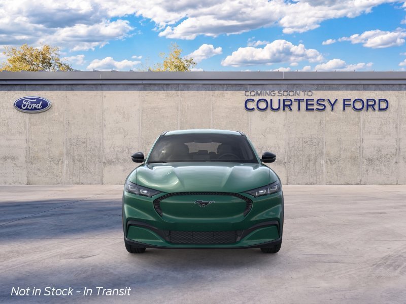 New 2026 Eruption Green Metallic Ford Select image 6