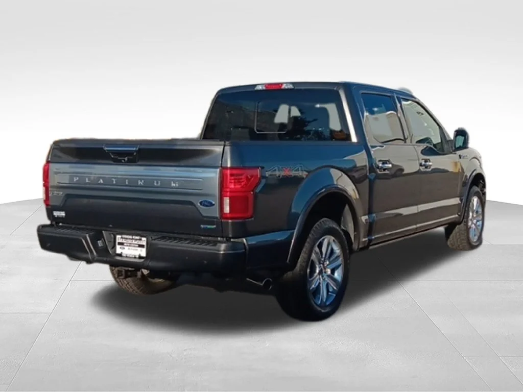 Used 2018 Magnetic Ford Platinum image 7