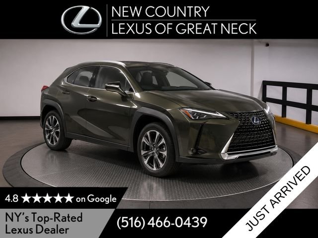 2019 Lexus UX