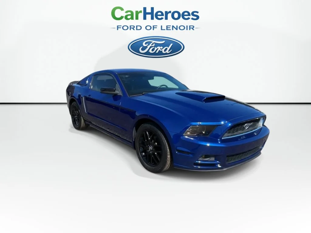 1ZVBP8AM8E5325037