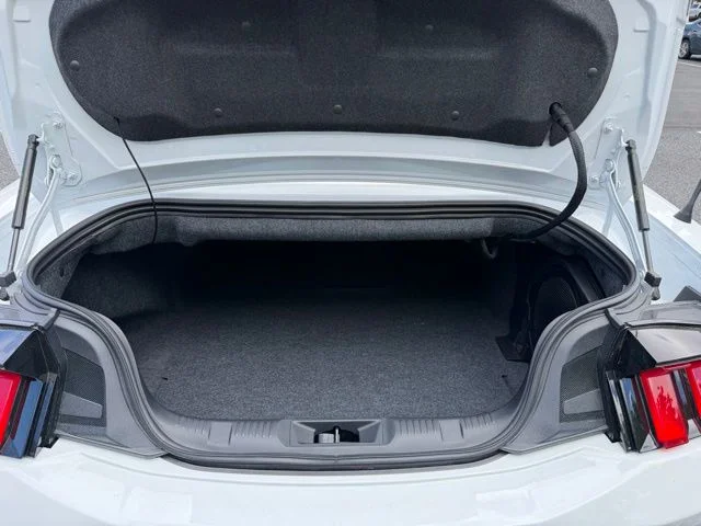 2025 Ford Mustang EcoBoost Premium Convertible - Photo 19