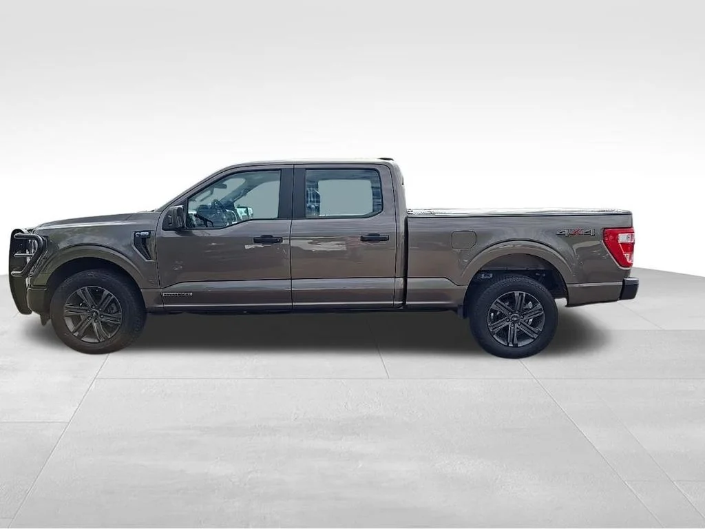 Used 2023 Ford F-150 XL with VIN 1FTFW1ED1PFA89871 for sale in Lake City, Minnesota