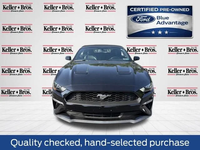 Certified Used 2019 Black Ford EcoBoost Premium image 2
