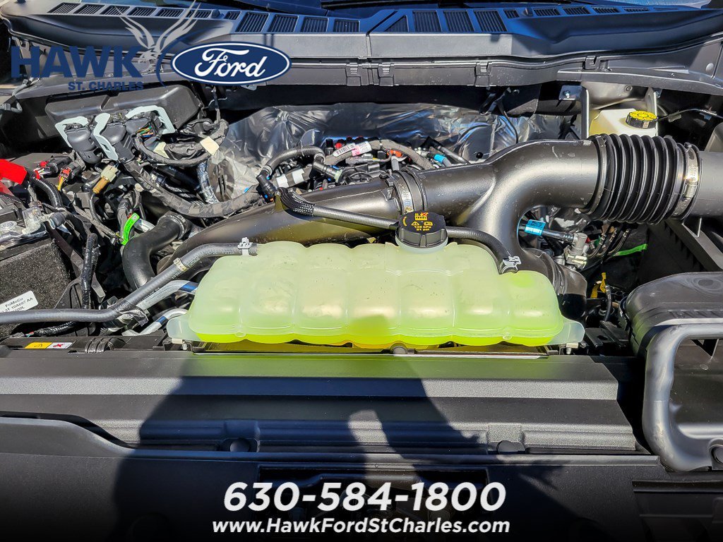 New 2026 Gray Ford STX image 16