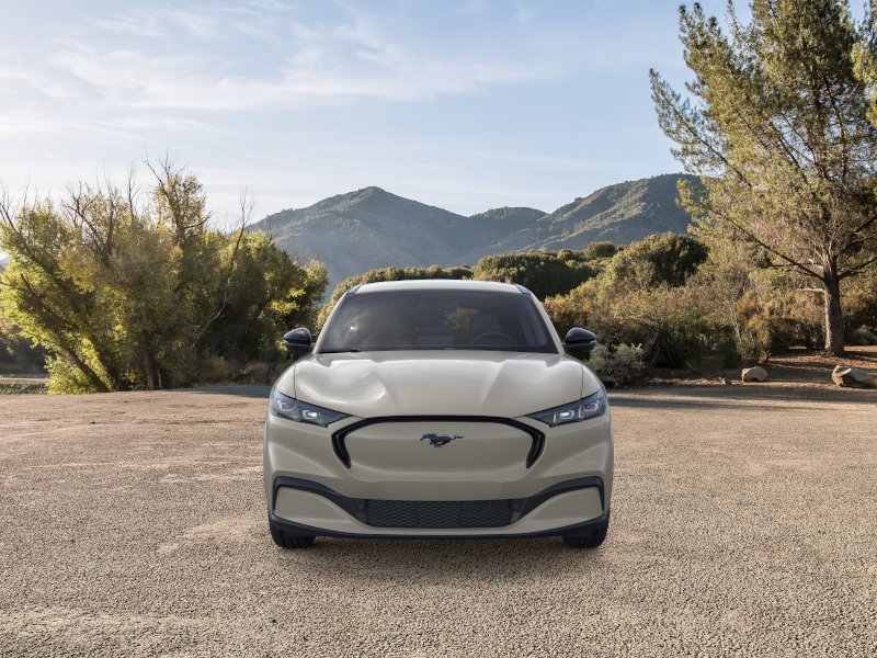New 2026 Desert Sand Ford Premium image 31