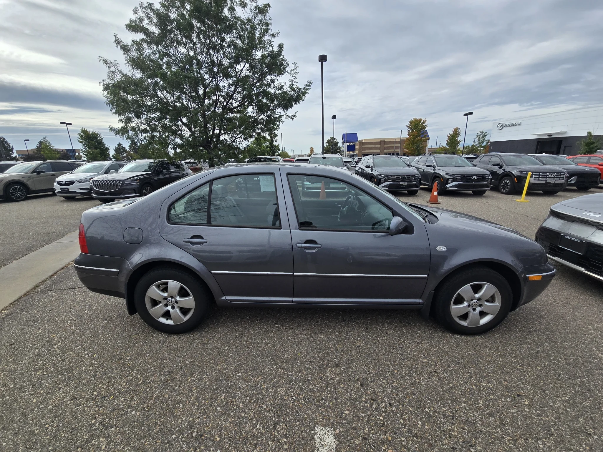 Used 2004 Brown Volkswagen GLS TDI image 18