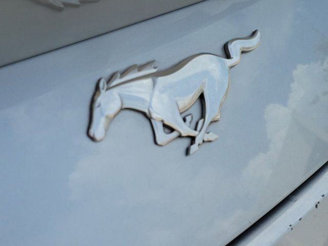 Used 2024 Silver Metallic Ford EcoBoost Premium image 9