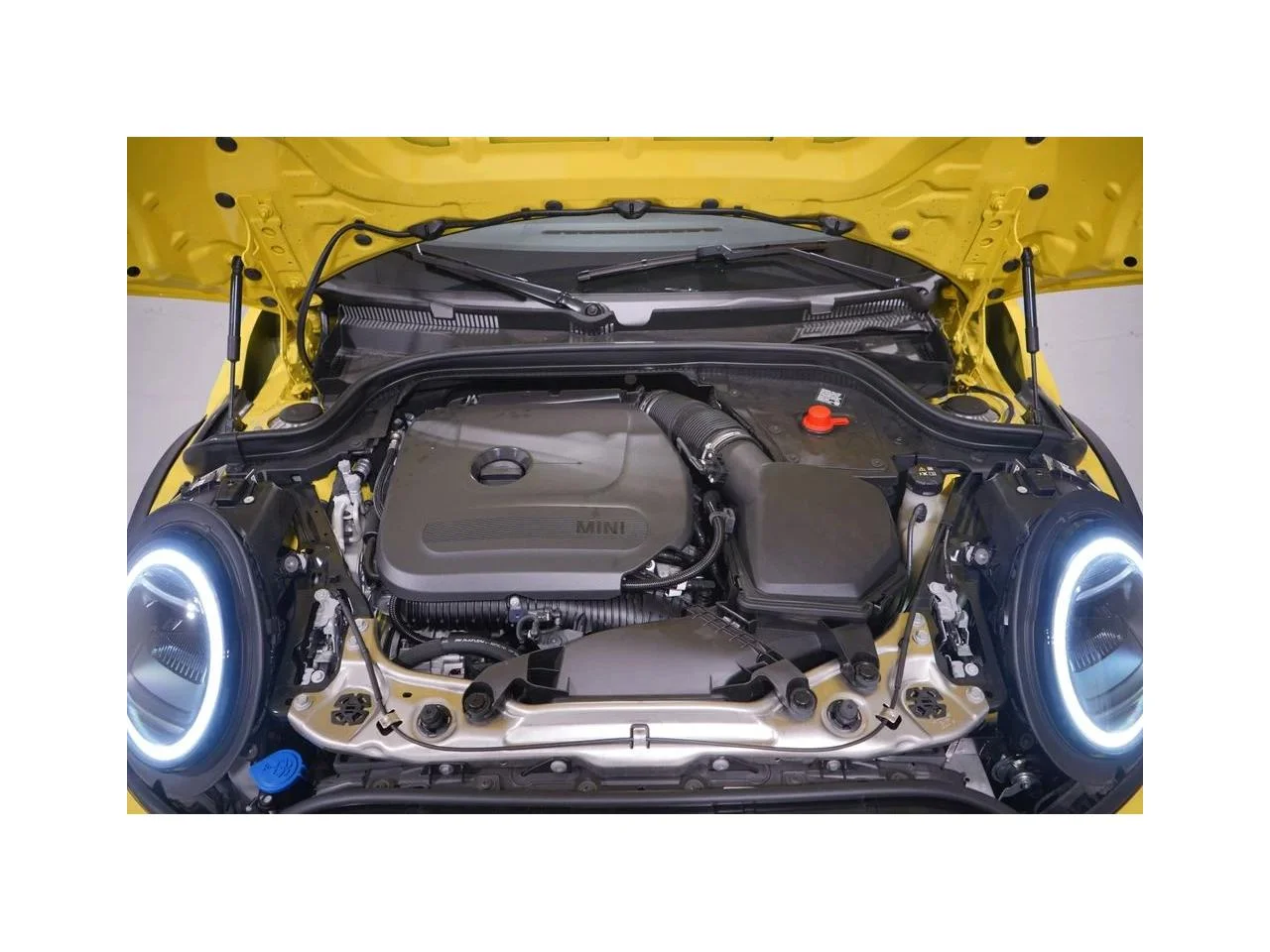 New 2026 Sunny Side Yellow MINI SIGNATURE PLUS image 19