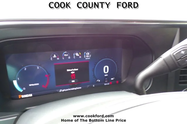 2025 Ford F-350 Super Duty Platinum - Photo 21