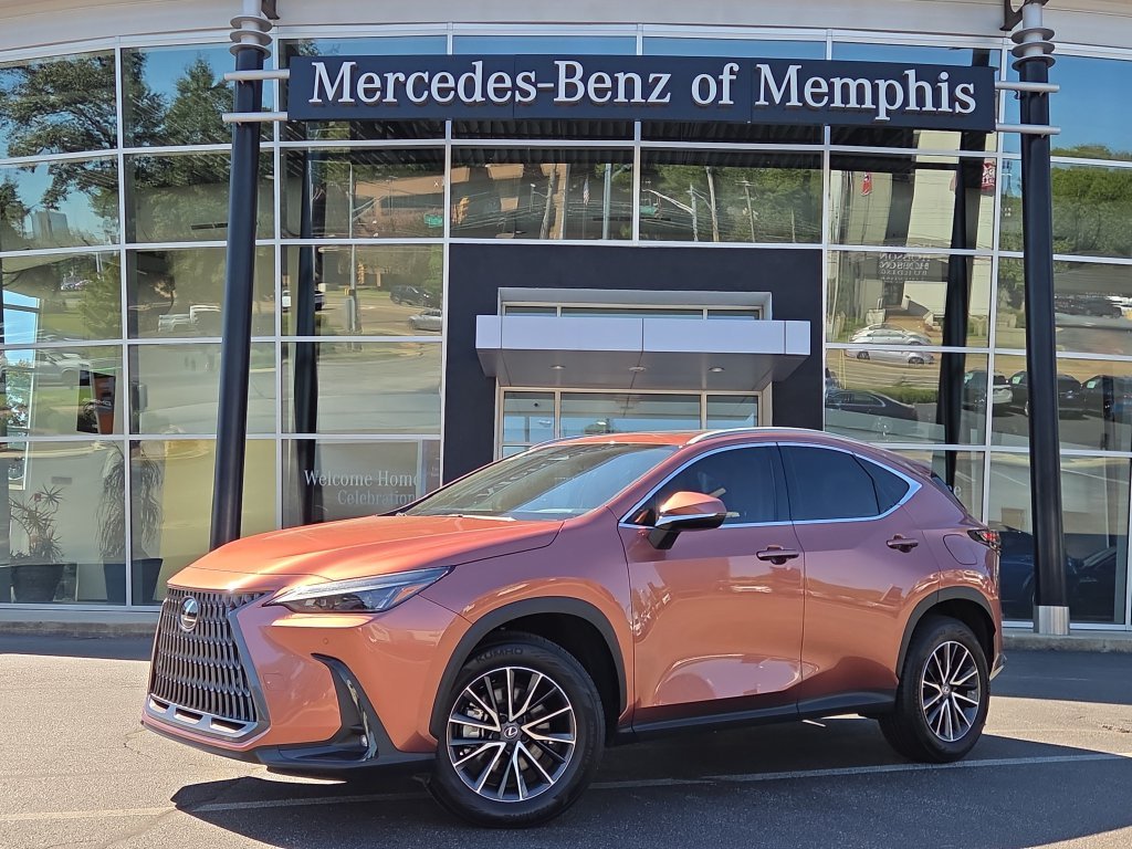 2025 Lexus NX