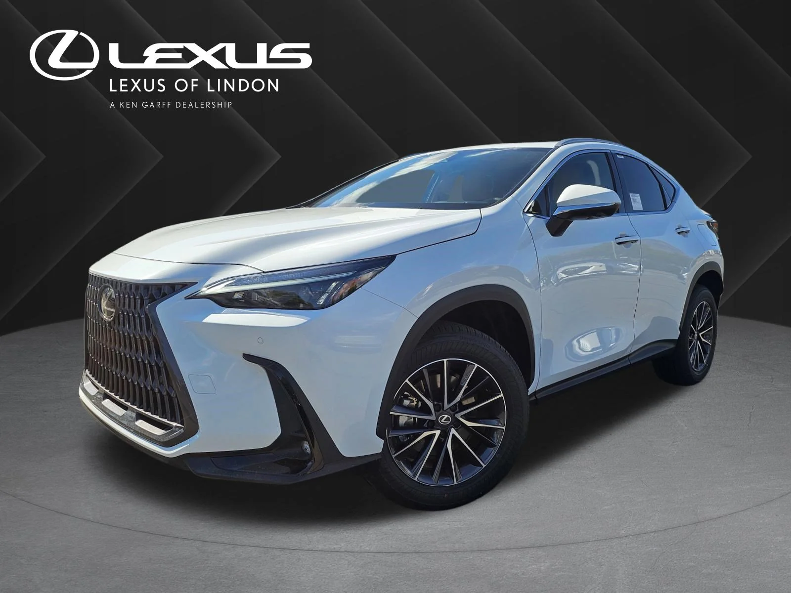2026 Lexus NX 350h 350h Premium AWD's photo