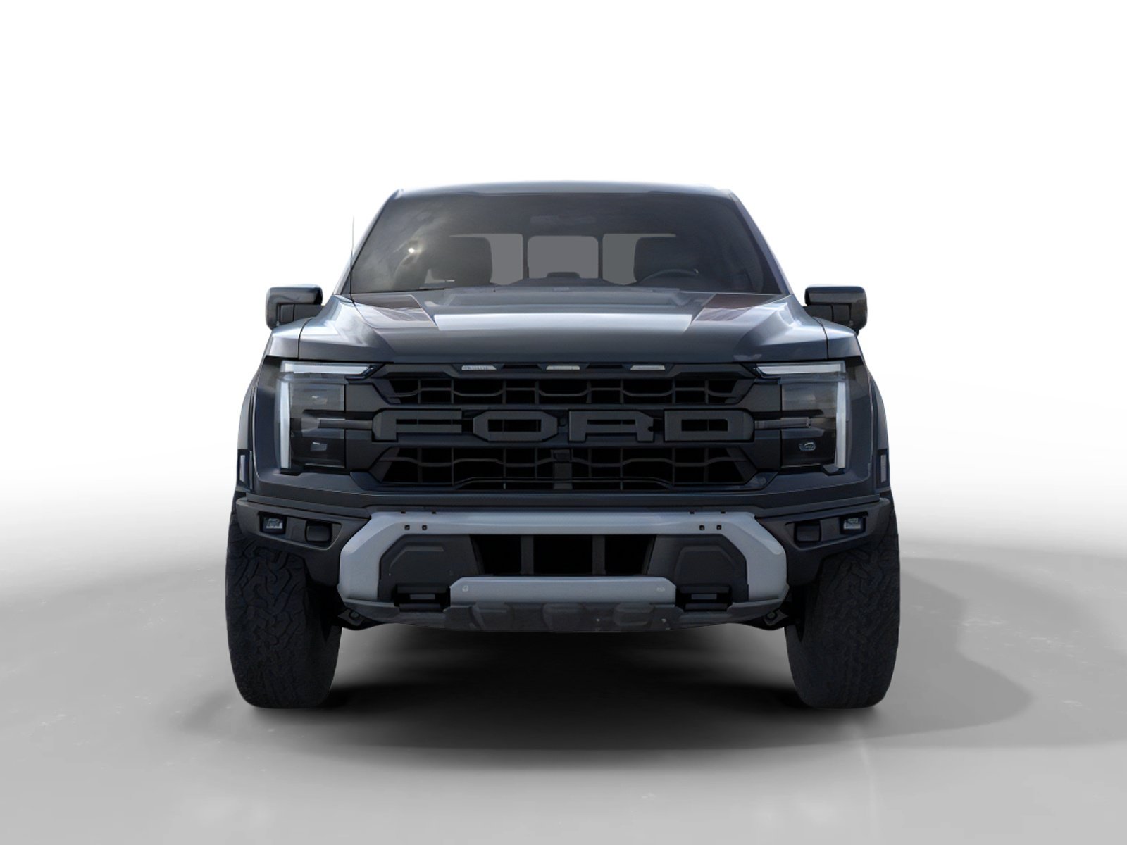 New 2025 Agate Black Metallic Ford Raptor® image 6