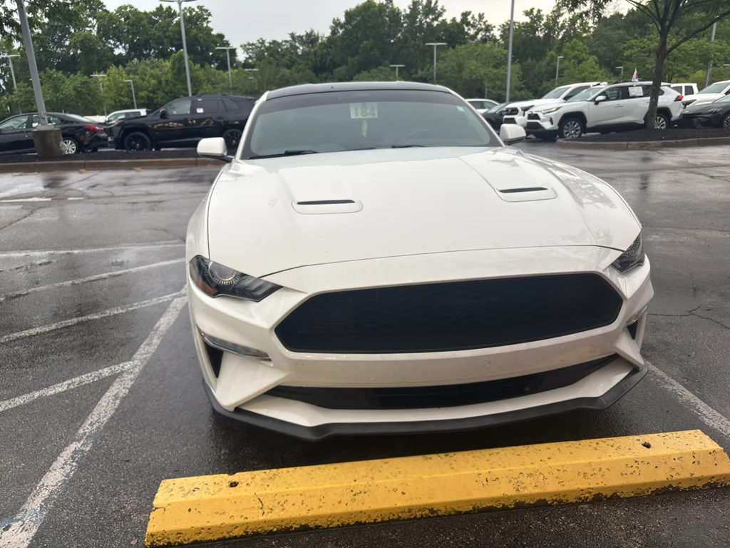 Used 2019 Oxford White Ford EcoBoost image 2