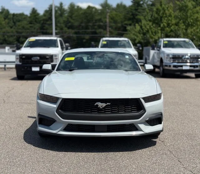 New 2026 Avalanche Gray Ford EcoBoost® Fastback image 9