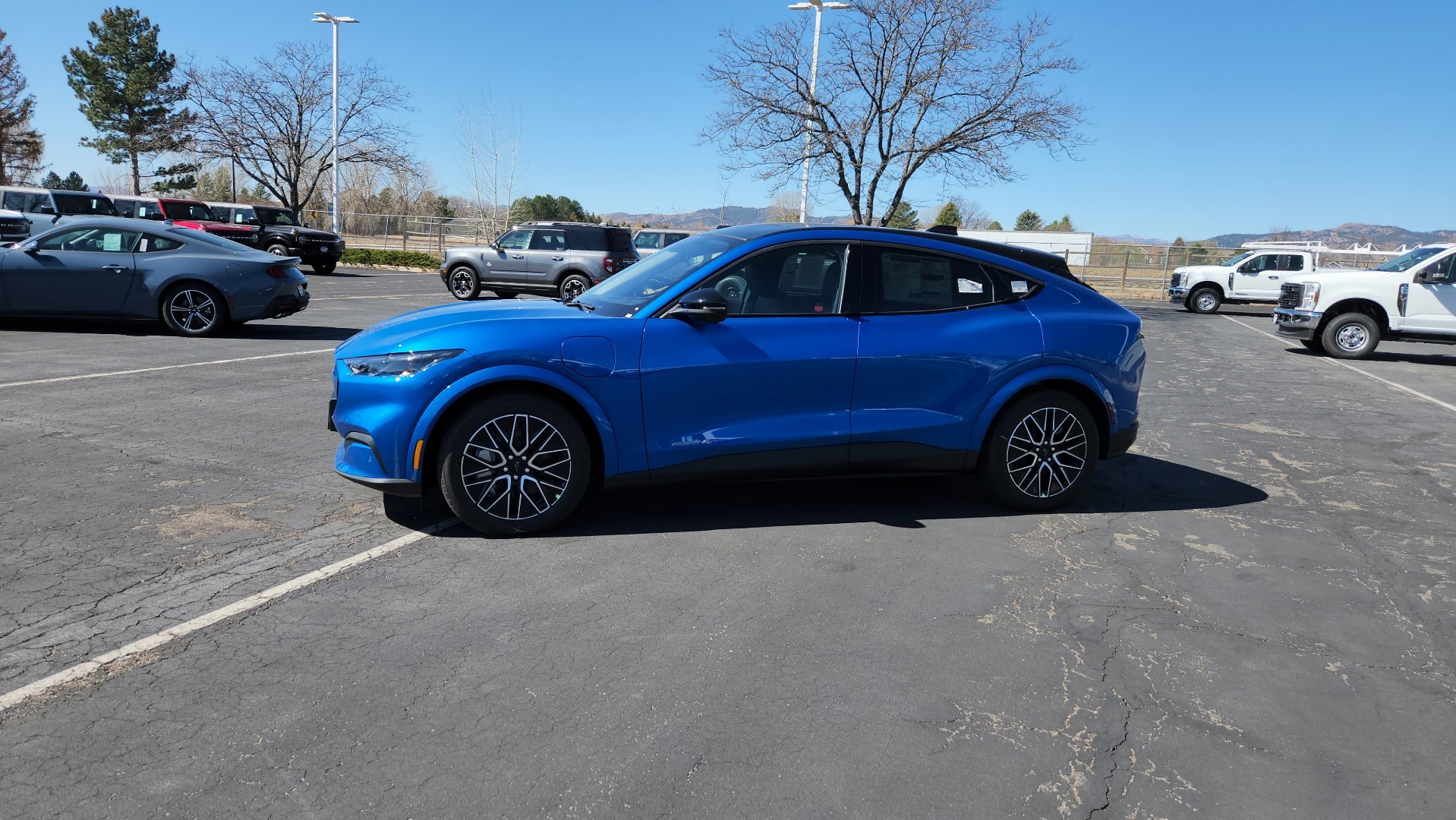 New 2026 Velocity Blue Metallic Ford Premium image 5