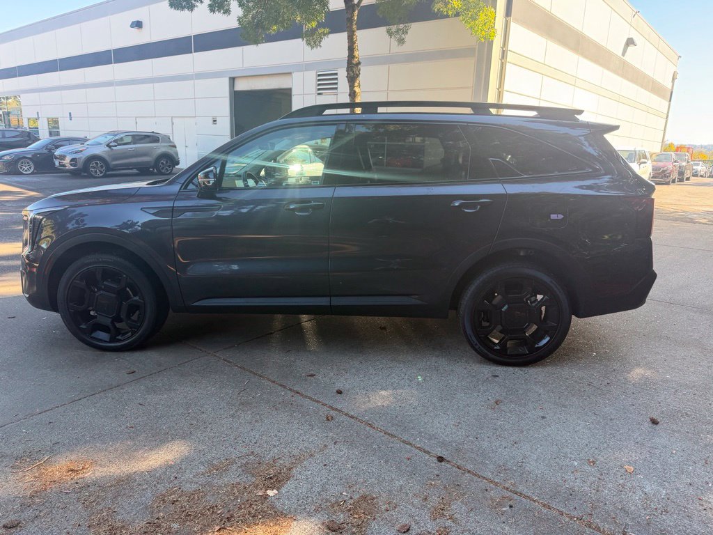Used 2025 Panthera Metal Kia X-Line EX image 7
