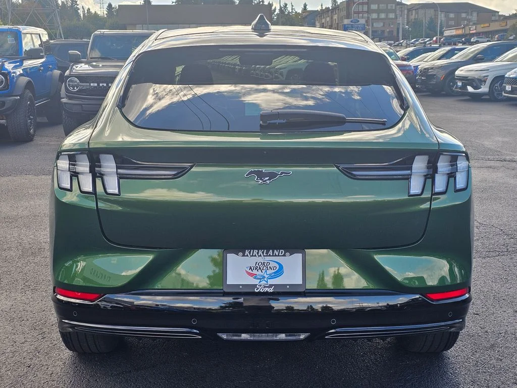 New 2025 Eruption Green Metallic Ford Premium image 6