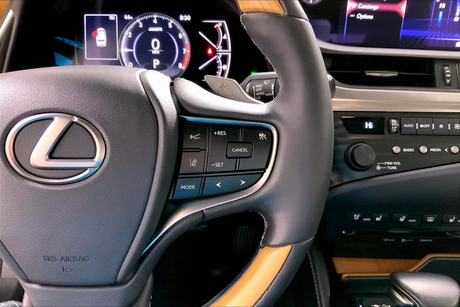 Used 2019 Caviar Lexus Luxury image 24