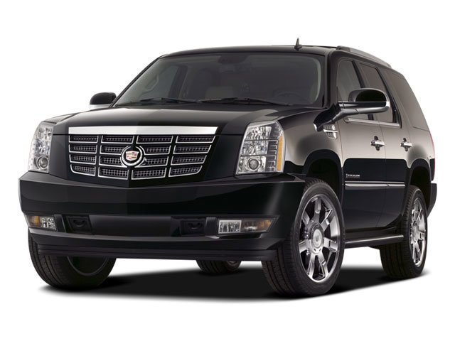 2008 Cadillac Escalade's photo