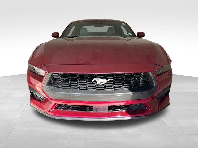 Used 2026 Magenta Ford EcoBoost Premium image 32