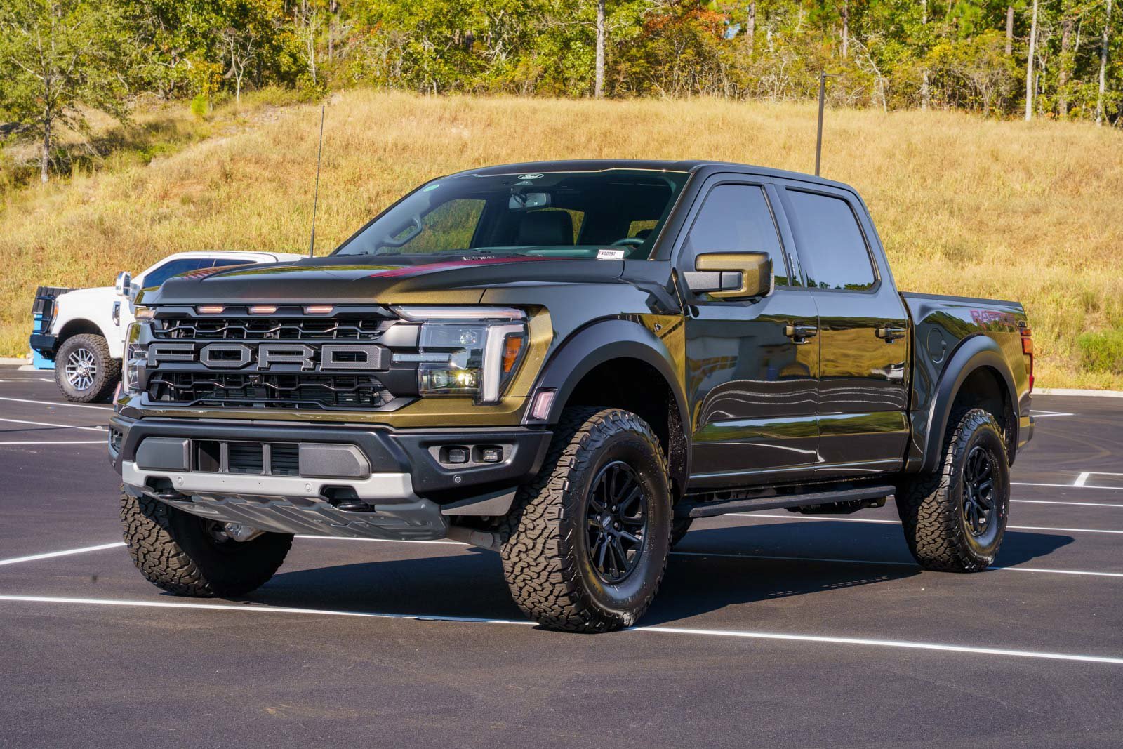 New 2026 Shelter Green Ford Raptor® image 3
