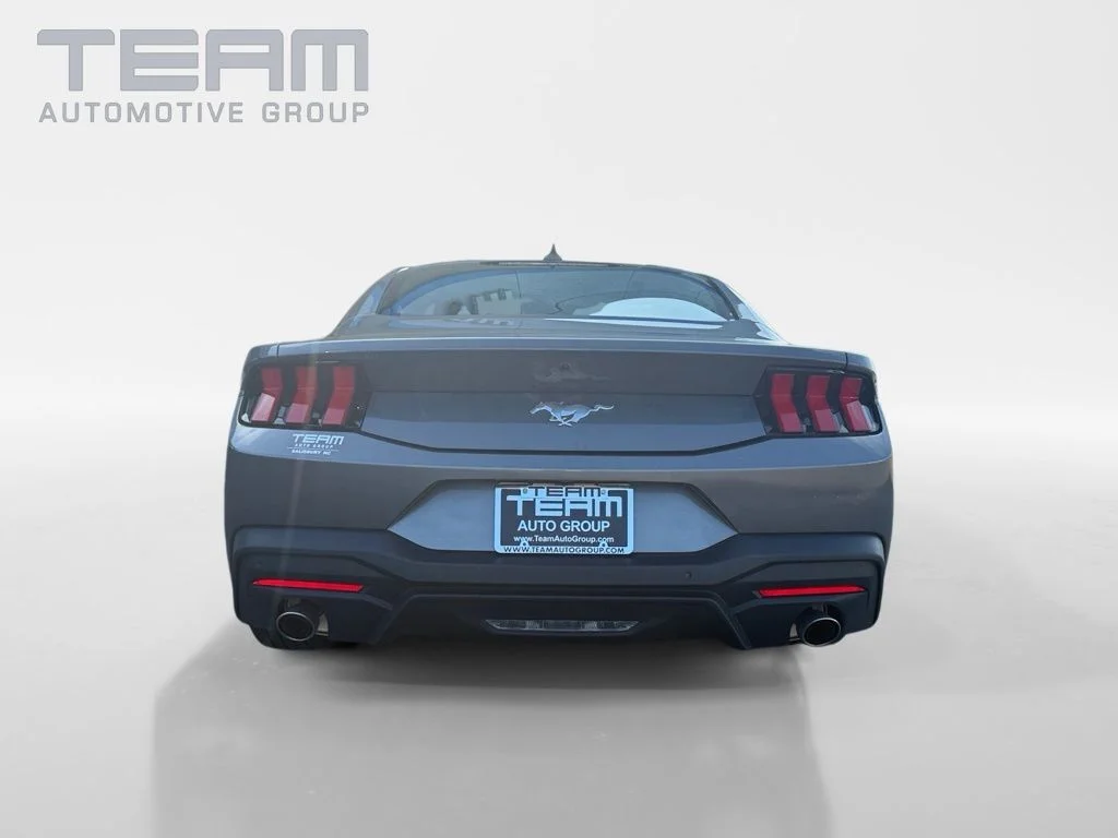 Used 2025 Gray Ford EcoBoost image 6