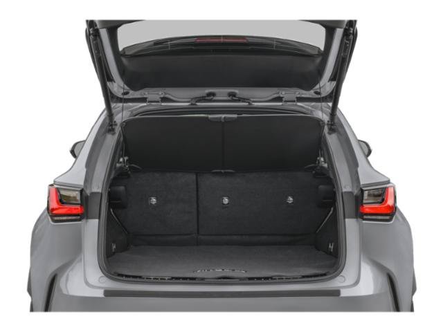 New 2026 Infrared Lexus PREMIUM image 14