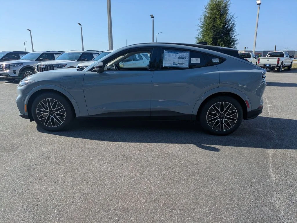New 2026 Gray Ford Premium image 7