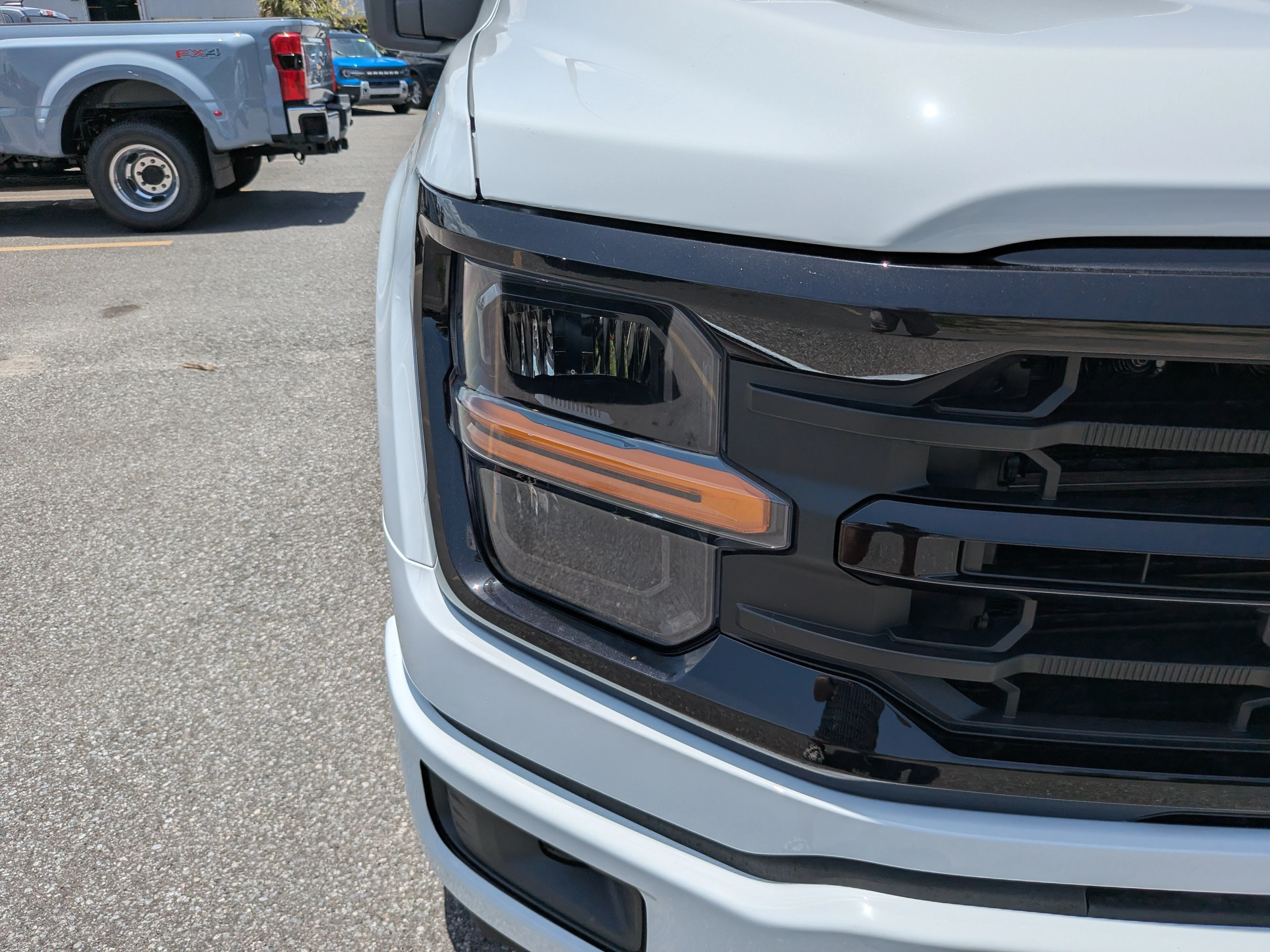 New 2026 Oxford White Ford XLT image 9