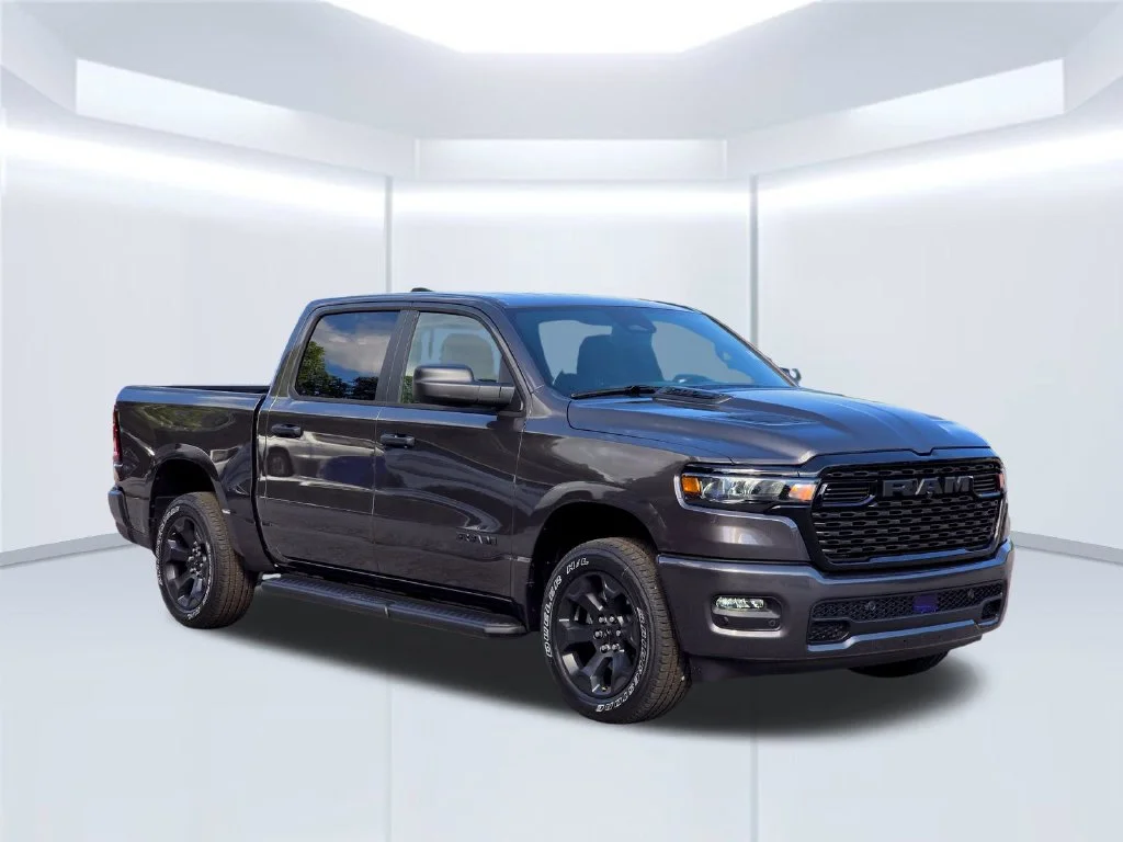 New 2026 Gray Ram Express image 14