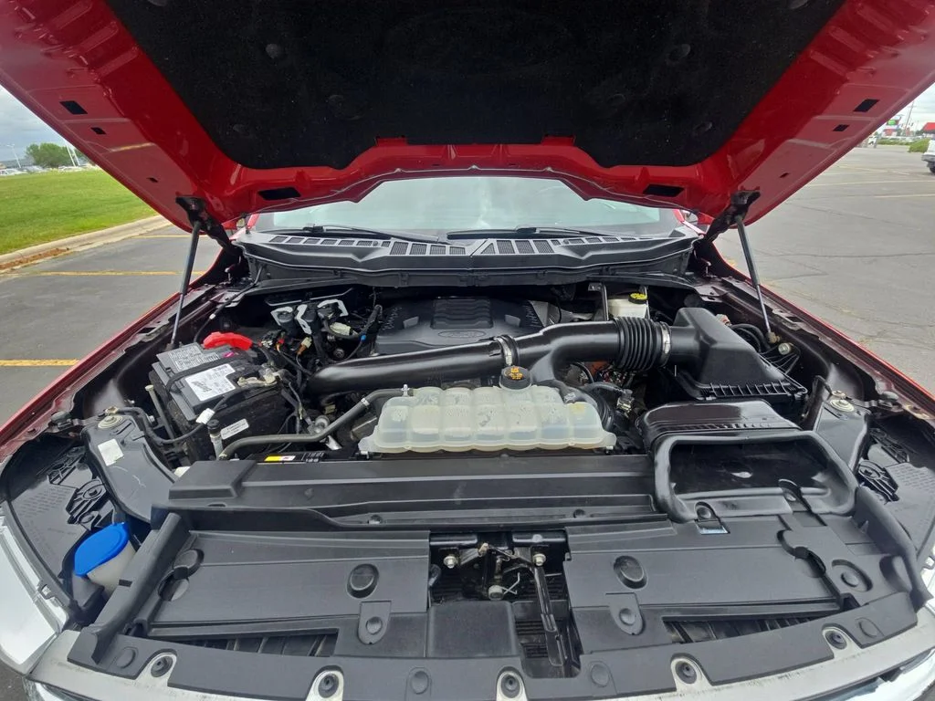 Used 2021 Red Ford XLT image 19