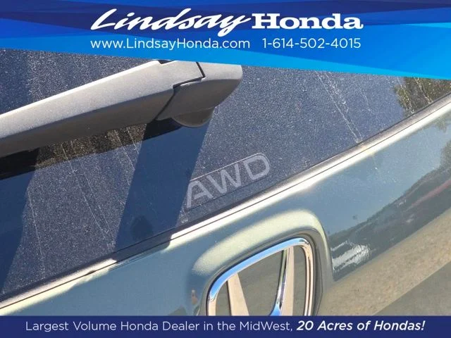 New 2026 Ash Green Metallic Honda TrailSport image 15