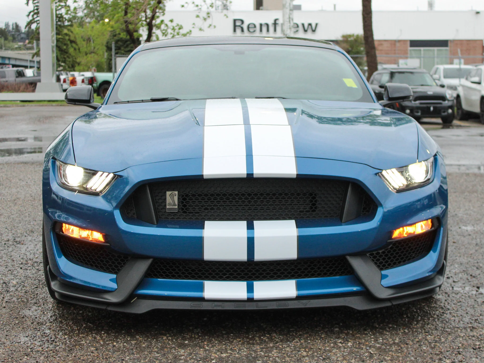 Certified Used 2020 Blue Ford Shelby GT350 * V8 Voodoo 526 HP | No Accidents | Low KM
