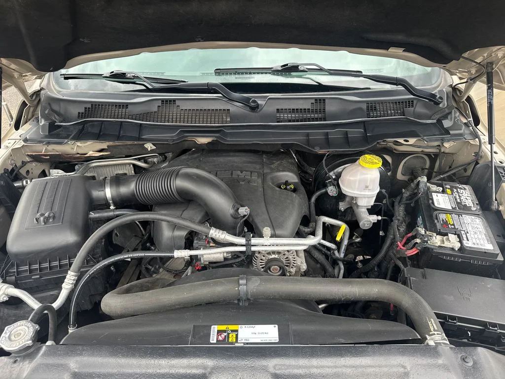 Used 2019 Beige Ram Warlock image 20