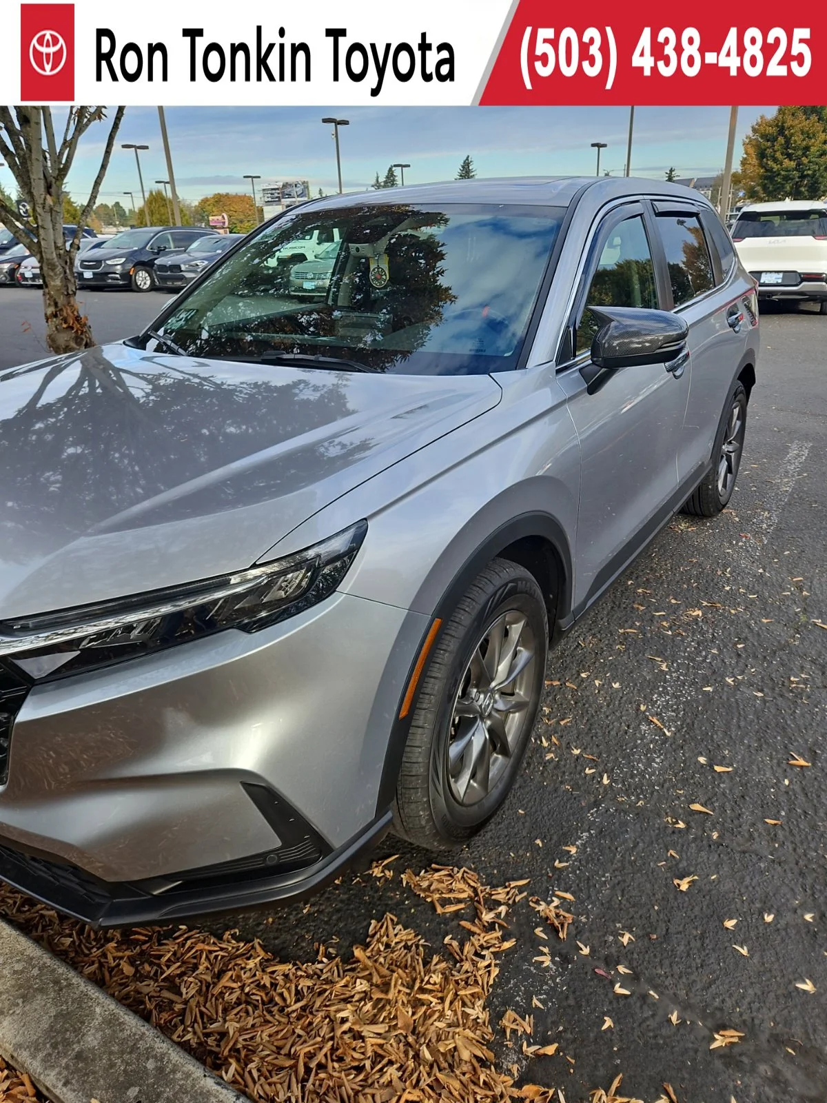 Used 2026  Honda EX-L image 1