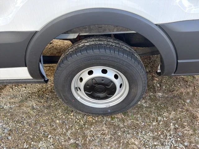 New 2024 White Ford Base image 14